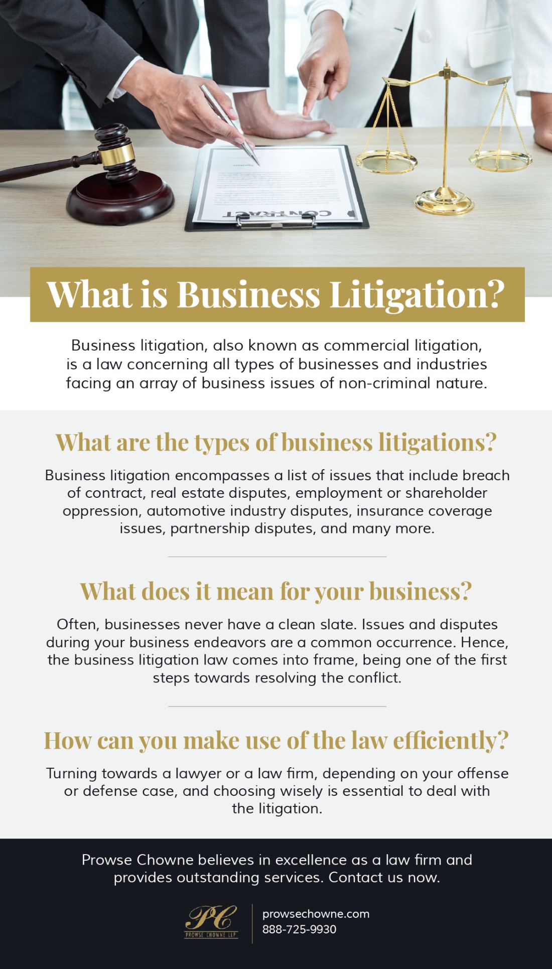 What is Business Litigation